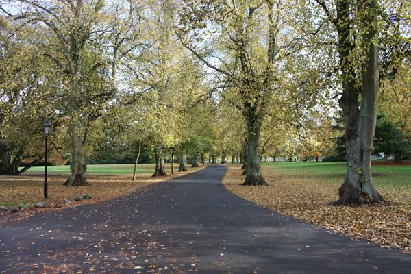 Free Introductory Sessions